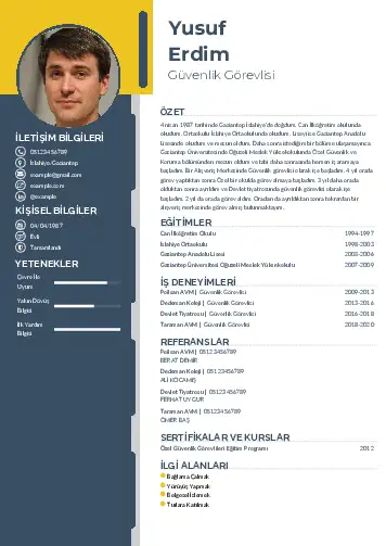 cv indir